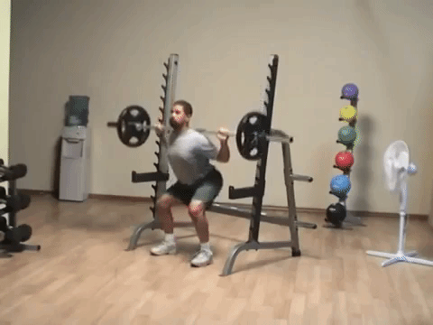 rack squat musculation